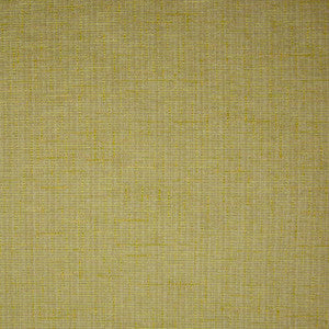 B9869 Citrus by Greenhouse Fabric