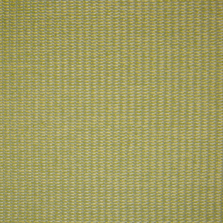 B9871 Spring by Greenhouse Fabric 100% Polyester China 50,000 double rubs </p><p>Repeat: No Definite Repeat 54" - Fabric Carolina -