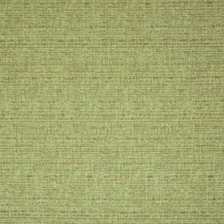 B9877 Absinthe by Greenhouse Fabric 100% Polyester China 80,000 double rubs </p><p>Repeat: No Definite Repeat 56" - Fabric Carolina -
