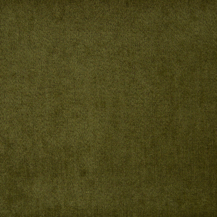 B9883 Grass by Greenhouse Fabric F07: Value Plush 100% Polyester China 60,000 double rubs </p><p>Repeat: None 56" - Fabric Carolina -
