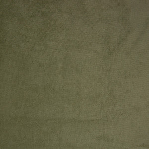 B9887 Light Green by Greenhouse Fabric