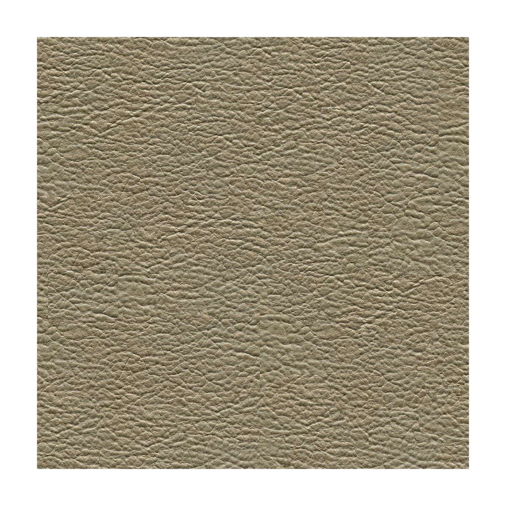 Bacia-11 by Kravet Contract Fabric PVC - ARTIFICIAL LEATHER - 97%;POLYURETHANE - 3% Turkey HEAVY Horizontal: and Vertical: 54 - Fabric Carolina -