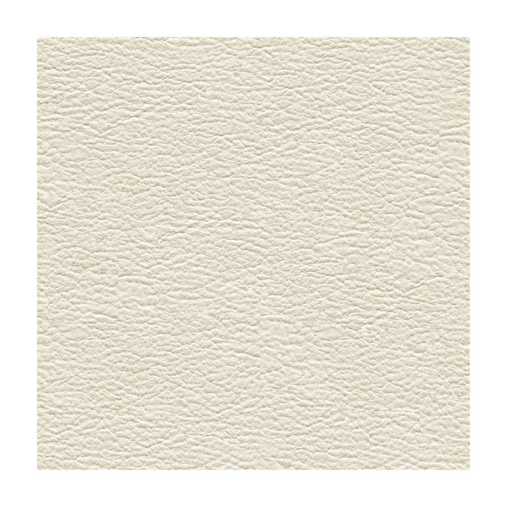 Bacia-1 by Kravet Contract Fabric PVC - ARTIFICIAL LEATHER - 97%;POLYURETHANE - 3% Turkey HEAVY Horizontal: and Vertical: 54 - Fabric Carolina -