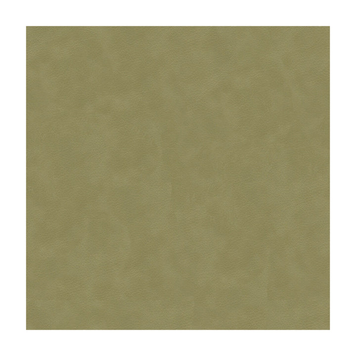 Balara-1121 by Kravet Contract Fabric - POLYURETHANE - 100% China HEAVY Horizontal: - and Vertical: - 55 - Fabric Carolina -