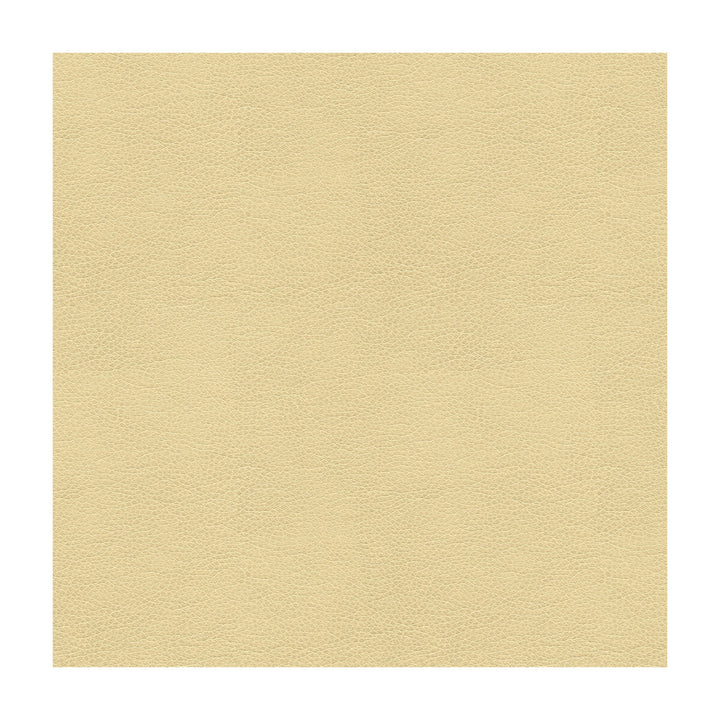 Balara-116 by Kravet Contract Fabric POLYURETHANE - 100% China HEAVY Horizontal: and Vertical: 55 - Fabric Carolina -