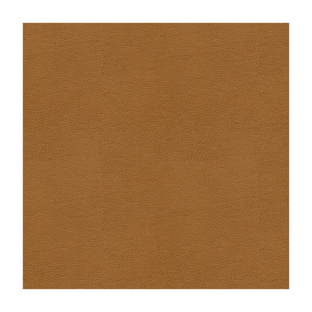 Balara-16 by Kravet Contract Fabric - POLYURETHANE - 100% China HEAVY Horizontal: - and Vertical: - 55 - Fabric Carolina -
