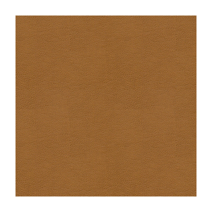 Kravet Contract Balara-16 by Kravet Contract Fabric Kravet Contract Fabric Kravet Contract Balara-16Fabric POLYURETHANE - 100% China </p><p>Repeat: H: , V: 55 - Fabric Carolina -