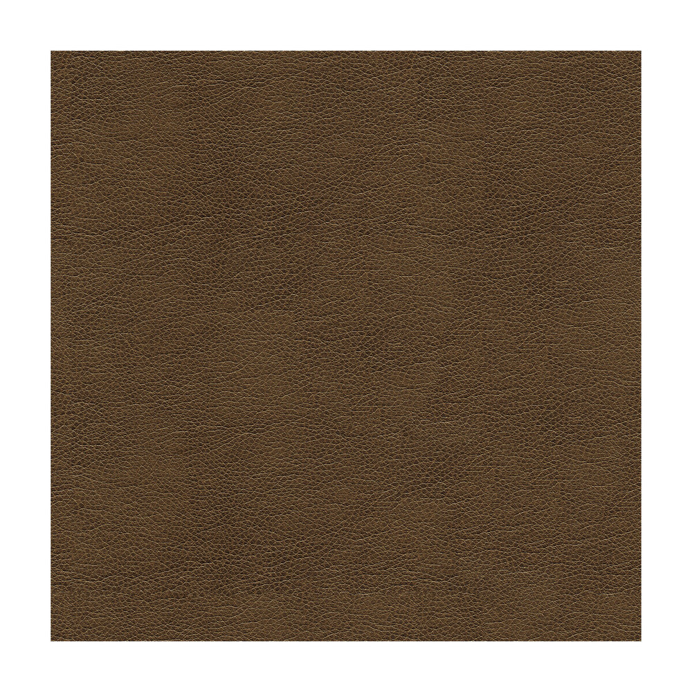 Balara-2121 by Kravet Contract Fabric POLYURETHANE - 100% China HEAVY Horizontal: and Vertical: 55 - Fabric Carolina -