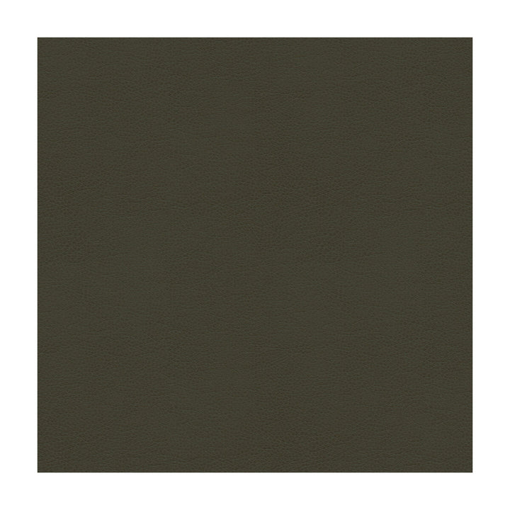 Balara-21 by Kravet Contract Fabric POLYURETHANE - 100% China HEAVY Horizontal: and Vertical: 55 - Fabric Carolina -