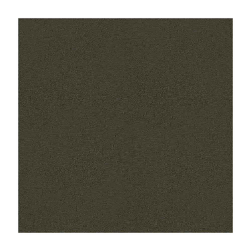 Balara-21 by Kravet Contract Fabric POLYURETHANE - 100% China HEAVY Horizontal: and Vertical: 55 - Fabric Carolina -