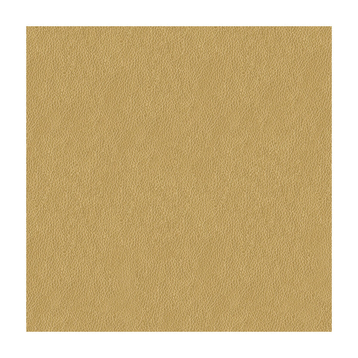 Balara-4 by Kravet Contract Fabric - POLYURETHANE - 100% China HEAVY Horizontal: - and Vertical: - 55 - Fabric Carolina -