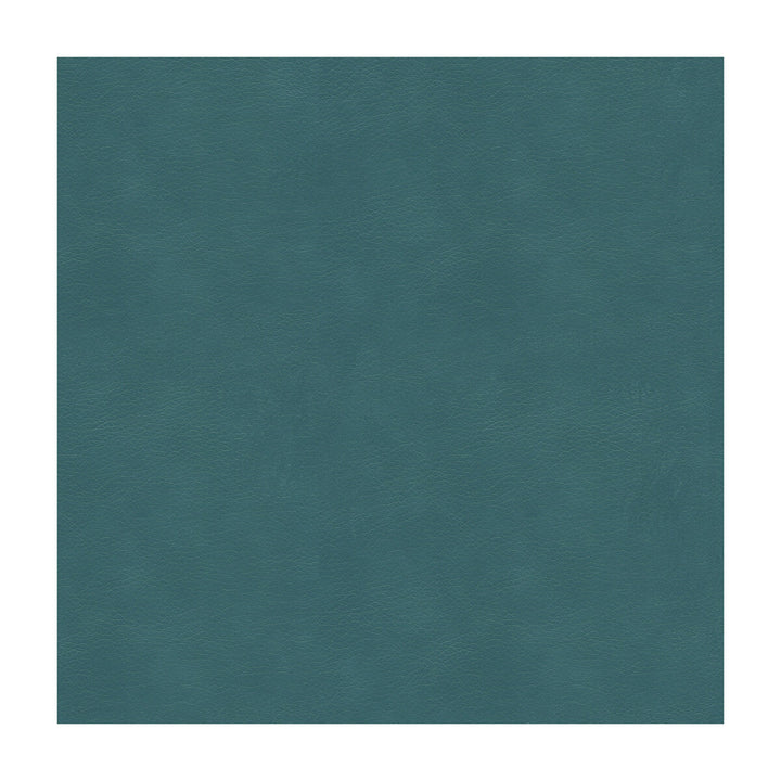 Balara-5 by Kravet Contract Fabric POLYURETHANE - 100% China HEAVY Horizontal: and Vertical: 55 - Fabric Carolina -