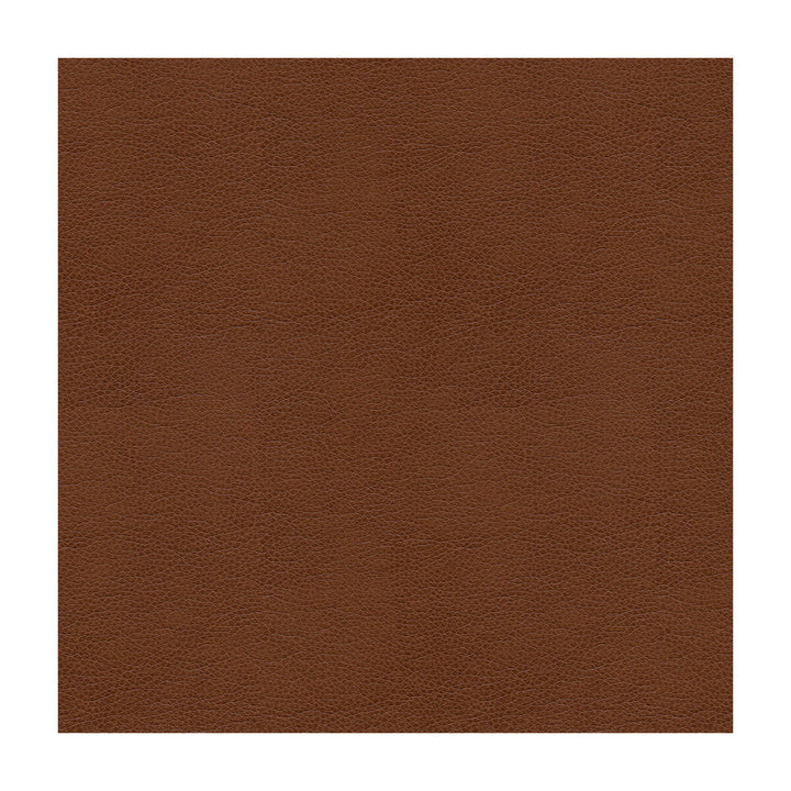 Balara-6 by Kravet Contract Fabric POLYURETHANE - 100% China HEAVY Horizontal: and Vertical: 55 - Fabric Carolina -