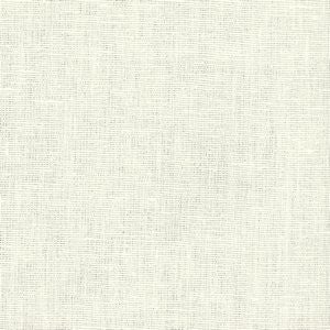 Balmoral Ivory 202 by Norbar Fabric See Sample 100% LINEN CHINA 10,000 WYZENBEEK 54 - Fabric Carolina -