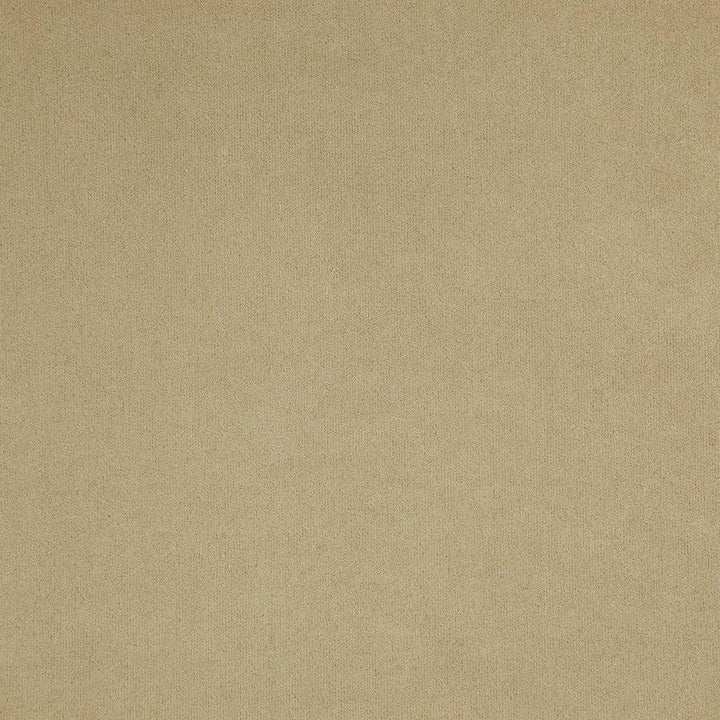 Bonus # 857 Putty by Maxwell Fabric CURLED UP IV 95% POLYESTER/5% POLYAMIDE CHINA 57.5" - Fabric Carolina -