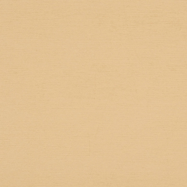 Bancroft 11J7031 by JF Crypton Designer Fabric Crypton Binder 100% Polyester United States 50000 Horizontal: and Vertical: 54 - Swanky Fabrics -