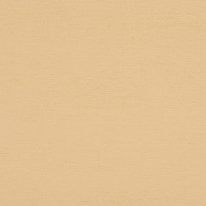 Bancroft 11J7031 by JF Crypton Fabric