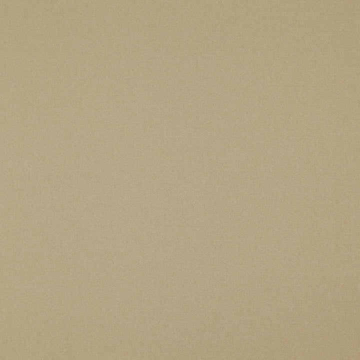 Bedtime # 911 Ecru by Maxwell Fabric DIM OUT I 100% POLYESTER TAIWAN See sample </p><p>Repeat: Horizontal: and Vertical: 57.75" - Fabric Carolina -