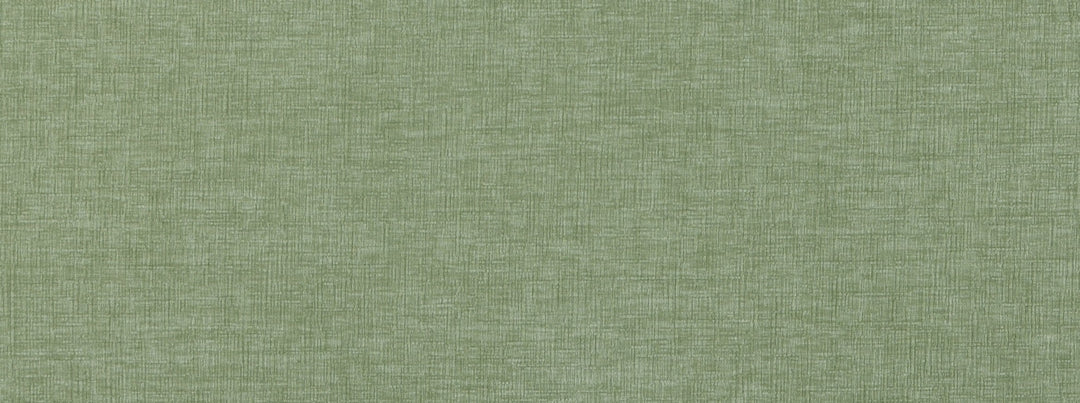 Baras 203 Aloe by Covington Designer Fabric