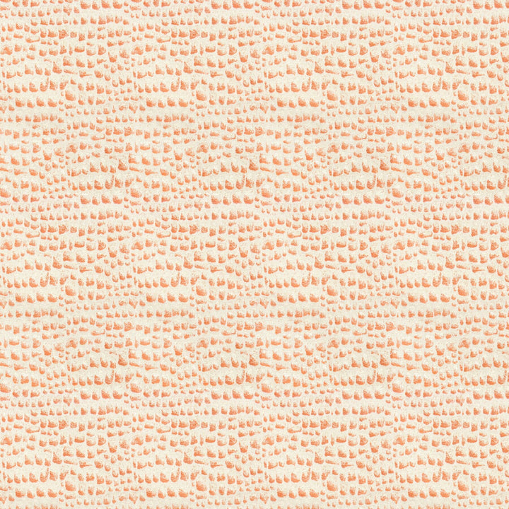 Barberry 1 Coral by Stout Fabric COMFORTABLE LIVING CORAL/SHRIMP 71%POL 29%SVI USA Horizontal: 14.25 and Vertical: 10.625 54 in - Fabric Carolina -