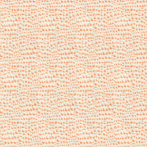 Barberry 1 Coral by Stout Fabric