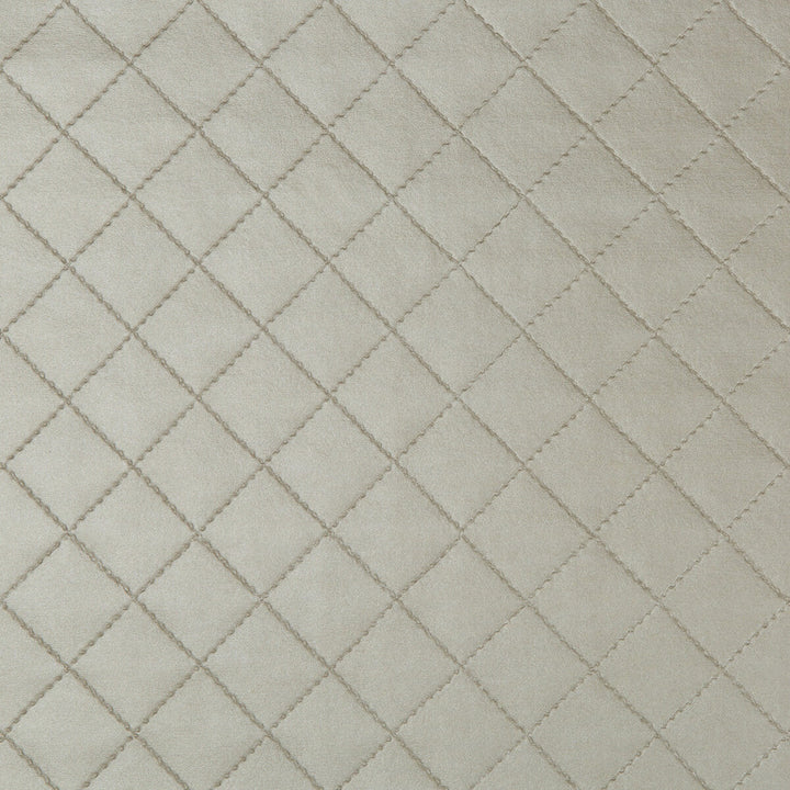 Barbaro-16 by Kravet Design Fabric - POLY VINYL CHLORIDE - 100% Taiwan HEAVY Horizontal: 1.25 and Vertical: 1.25 54 - Fabric Carolina -