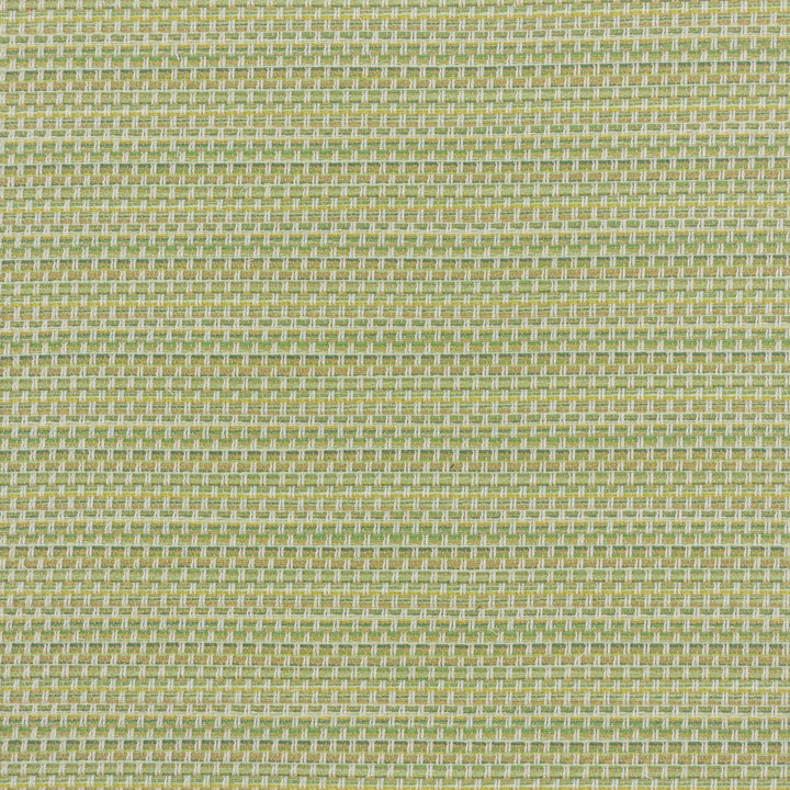 Barkley 3 Cypress by Stout Fabric Stout Fabric Barkley 3 CypressFabric No Limits 100%Pol USA </p><p>Repeat: H: 0, V: 9.5 54 in - Fabric Carolina -