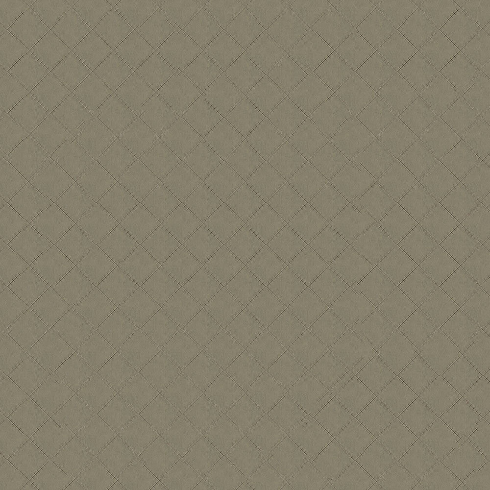 Basilica Taupe by ABBEYSHEA Fabric N/A 100% Polyester China 95,000 Double Rubs </p><p>Repeat: Horizontal: and Vertical: 54" (137 cm) - Fabric Carolina -