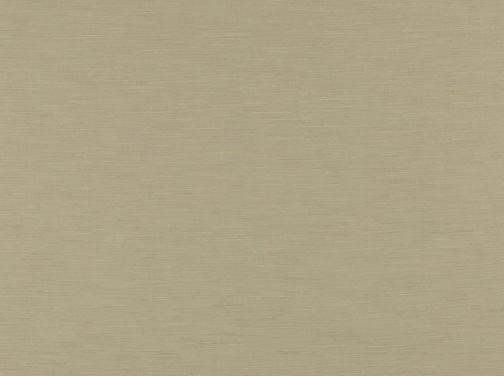 Bassiano 118 Sandstone by Covington Fabric 95% POLYESTER, 5% COTTON India 8000 Horizontal: 6.93 and Vertical: 23.23 56.5 - Fabric Carolina -