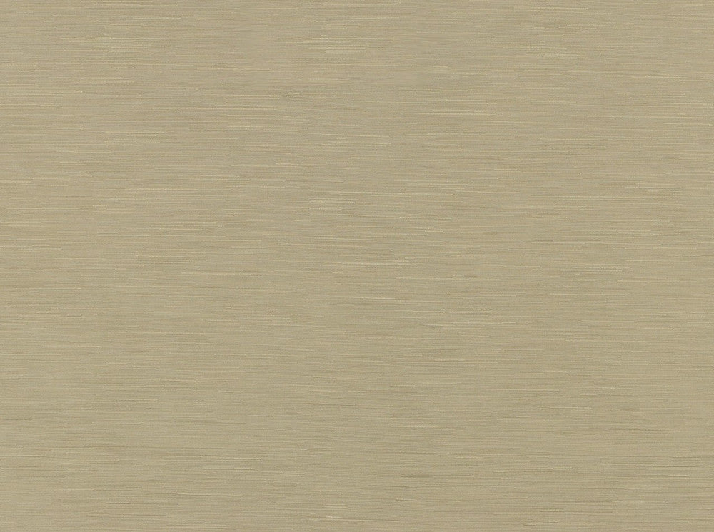 Bassiano 13 Raffia by Covington Fabric 95% POLYESTER, 5% COTTON India 8000 Horizontal: 6.93 and Vertical: 23.23 56.5 - Fabric Carolina -