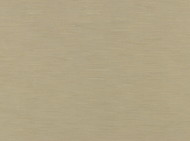 Bassiano 13 Raffia by Covington Fabric 95% POLYESTER, 5% COTTON India 8000 Horizontal: 6.93 and Vertical: 23.23 56.5 - Fabric Carolina -