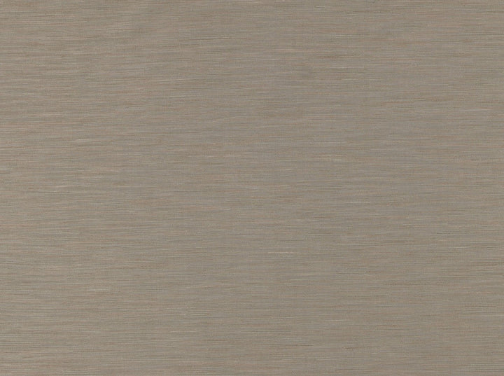 Bassiano 145 Travertine by Covington Fabric 95% POLYESTER, 5% COTTON India 8000 Horizontal: 6.93 and Vertical: 23.23 56.5 - Fabric Carolina -