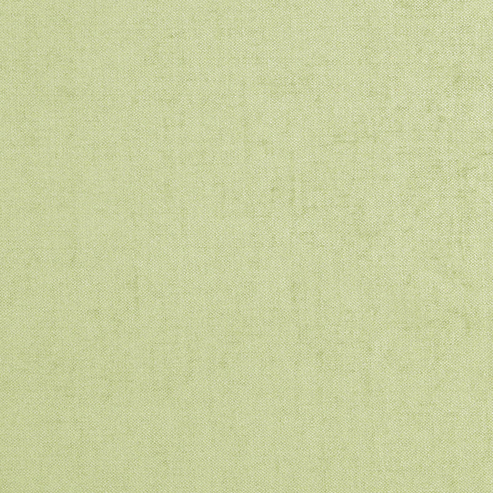 Battle 72J7081 by JF Fabric Winning Weaves V Book 100% Polyester India 195000 Horizontal: and Vertical: 55 - Fabric Carolina -