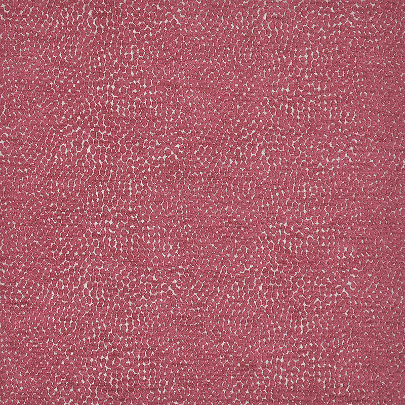 Bitsy # 803 Fuchsia by Maxwell Fabric PERFORMANCE WOVENS-VOL.II DRAGONFRUIT 55% VISCOSE/26% POLYESTER 19% COTTON TURKEY V-5.1"H-6.9" 55" - Fabric Carolina -