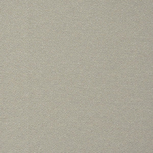 Backdrop # 741 Alabaster by Maxwell Fabric
