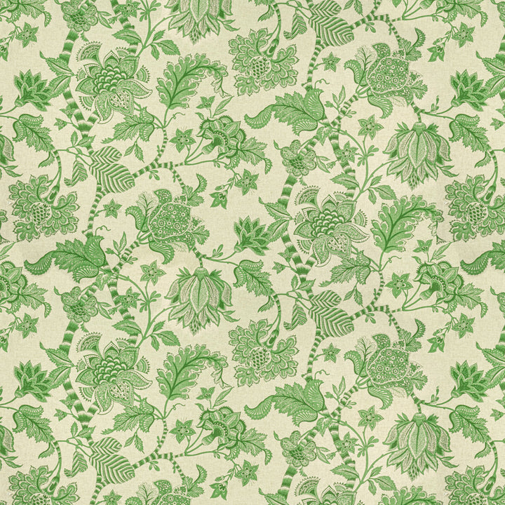 Bayberry 2 Fern by Stout Fabric COMFORTABLE LIVING ALOE/FERN 89%COT 11%SVI USA WYZENBEEK 15 000 DOUBLE RUB WEAR TEST (HEAVY DUTY) FLAME RETARDANT-U.F.A.C. CLASS 1 CATB 117-2013 Horizontal: 27 and Vertical: 36 54 in - Fabric Carolina -