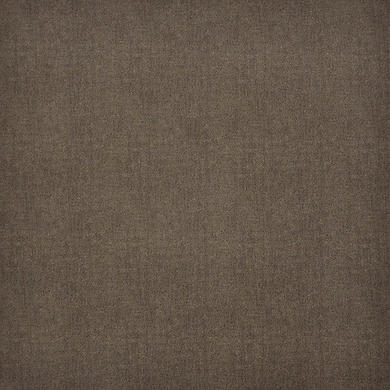 Baxter-Ess # 100 Earth by Maxwell Designer Fabric Upholstery Essentials-Textures Iii-Microfiber 100% POLYESTER CHINA 56" - Swanky Fabrics -