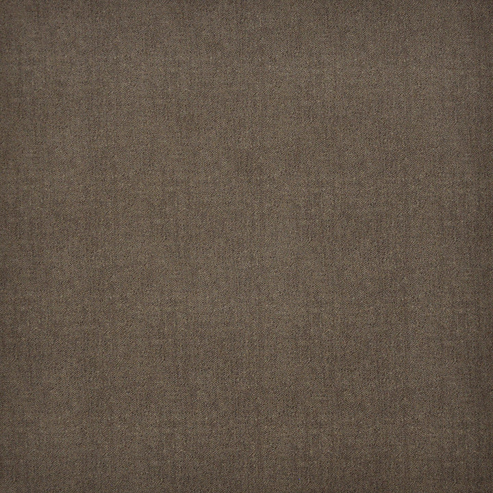 Baxter-Ess # 100 Earth by Maxwell Fabric Upholstery Essentials-Textures Iii-Microfiber 100% POLYESTER CHINA 56" - Fabric Carolina -