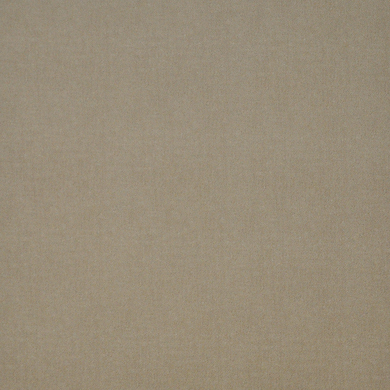 Baxter-Ess # 912 Macadamia by Maxwell Fabric Upholstery Essentials-Textures Iii-Microfiber 100% POLYESTER CHINA 56" - Fabric Carolina -