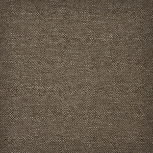 Broome-Ess # 101 Cacao by Maxwell Fabric