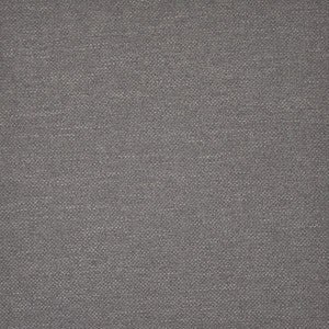 Broome-Ess # 1102 Champion by Maxwell Fabric