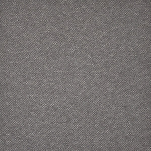 Broome-Ess # 1102 Champion by Maxwell Fabric