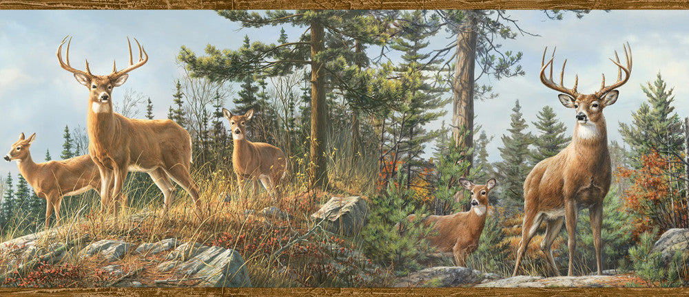 Garth Blue Whitetail Crest Portrait Wallpaper by Chesapeake Borders By Chesapeake Covers about 10 square feet 8-in by 15-ft long roll Prepasted 0 - Fabric Carolina -