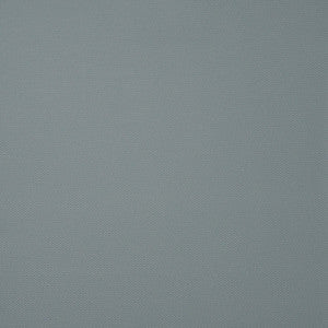 Bandit # 732 Ice by Maxwell Fabric