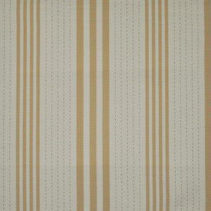 Broadband # 704 Sunshower by Maxwell Fabric