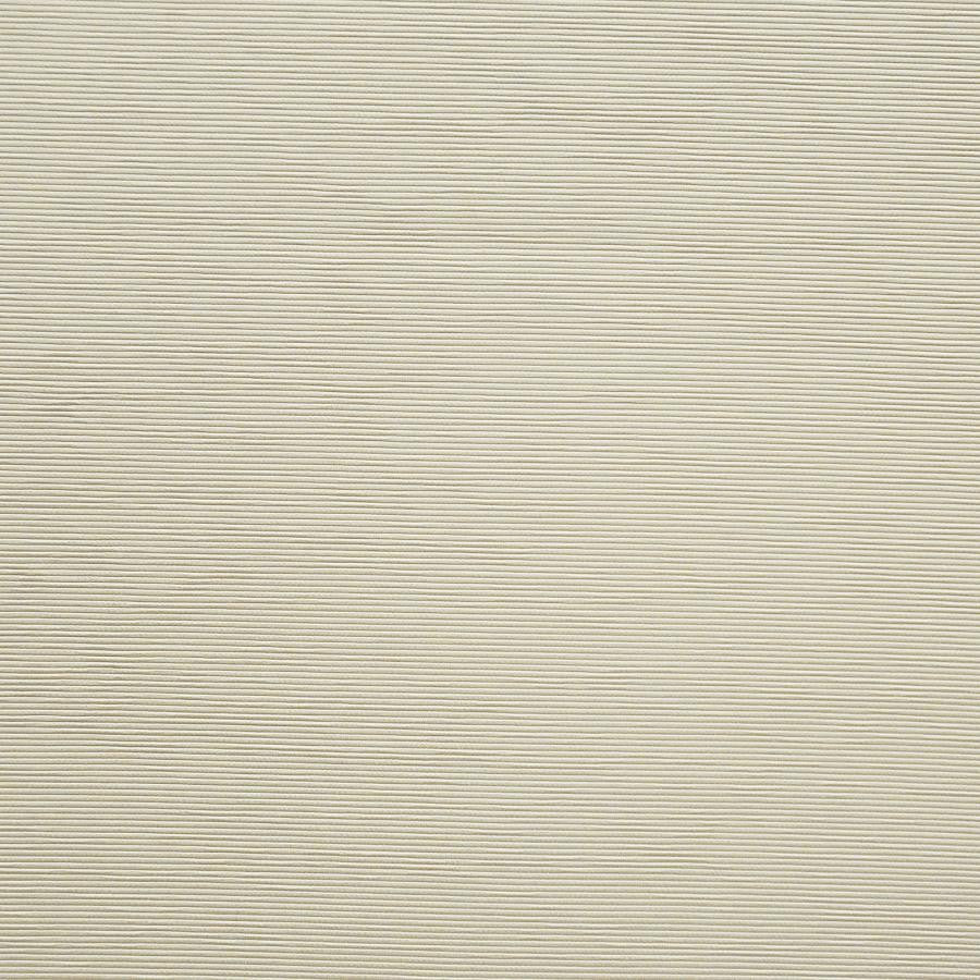 Bursa # 04 Beach by Maxwell Designer Fabric Pure & Simple X 72% RAYON/28% POLYESTER CHINA 56" - Swanky Fabrics -