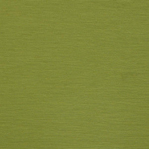 Bursa # 24 Sprout by Maxwell Fabric