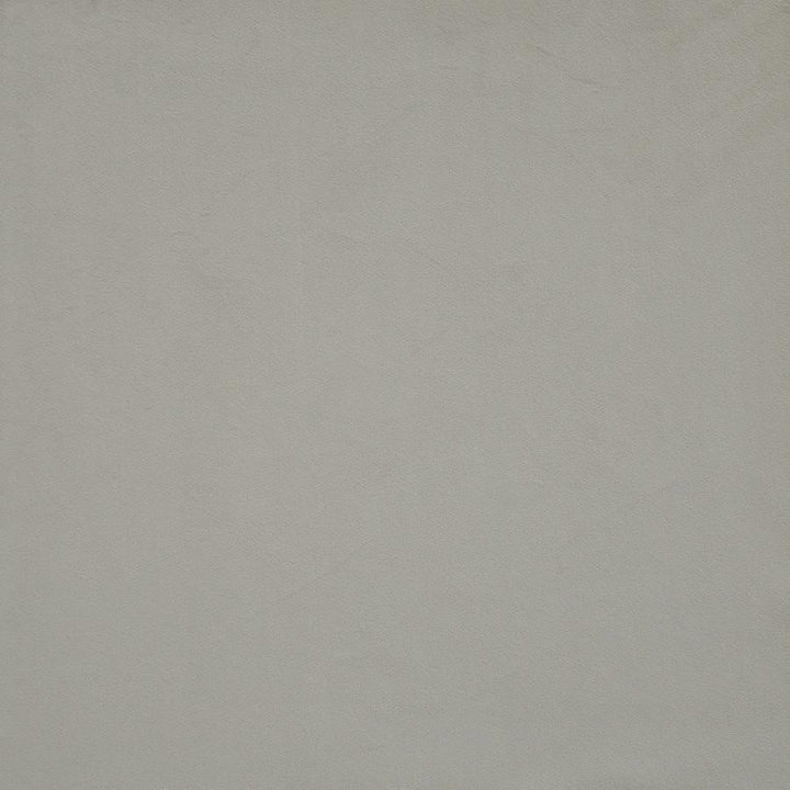 Bacall # 777 Dove by Maxwell Fabric Velvet Room 100% POLYESTER CHINA 56" - Fabric Carolina -