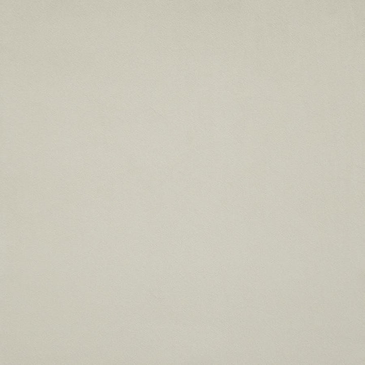 Bacall # 778 Pearl by Maxwell Fabric Velvet Room 100% POLYESTER CHINA 56" - Fabric Carolina -