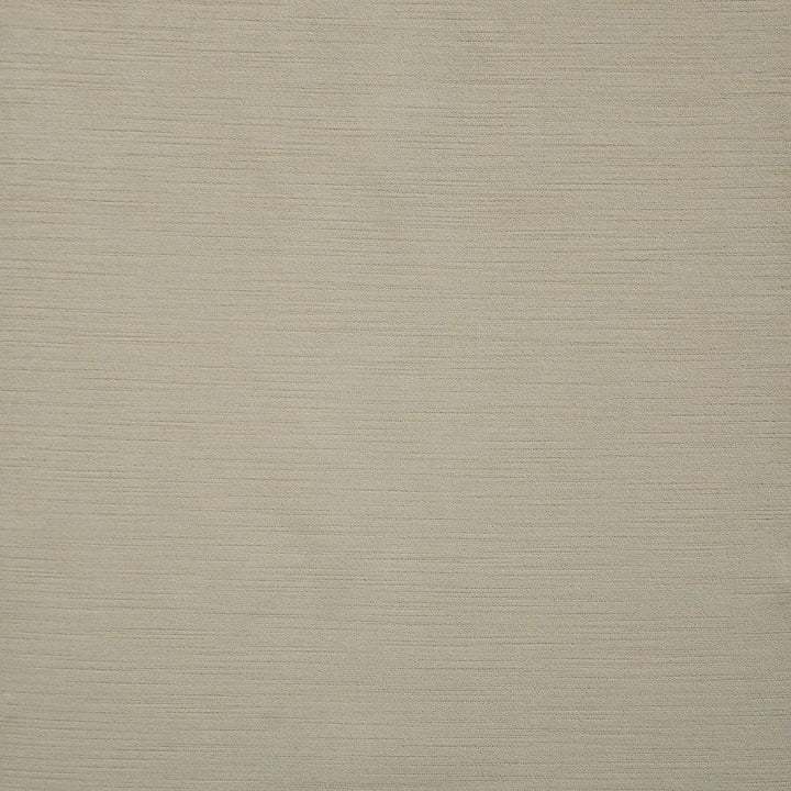 Barrymore # 711 Calm by Maxwell Fabric Velvet Room 100% POLYESTER TURKEY 54" - Fabric Carolina -